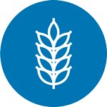 nutrición